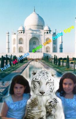 hala et hoda avec une belle tigre